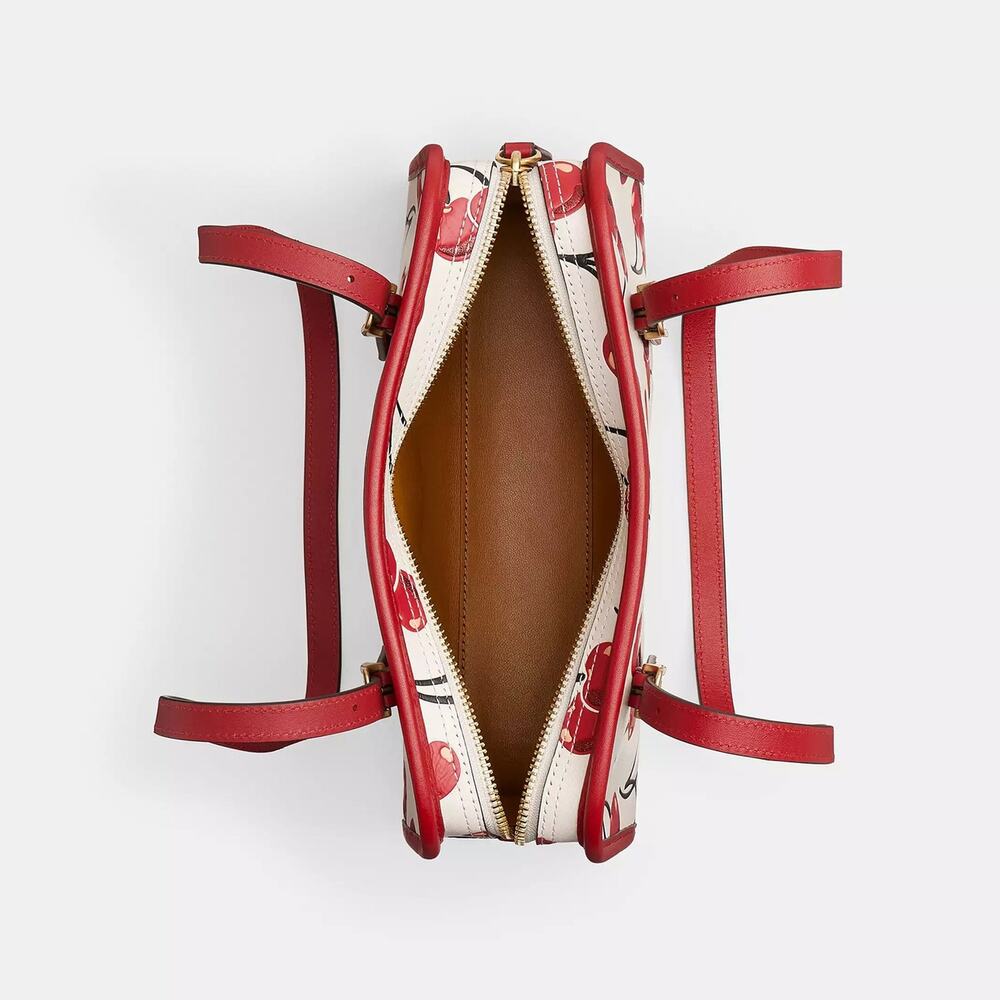 ❤️ Coach Swing Zip Bag With Cherry Print - Picture 5 of 9